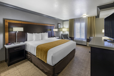 Comfort Inn & Suites North Hollywood - Guestroom