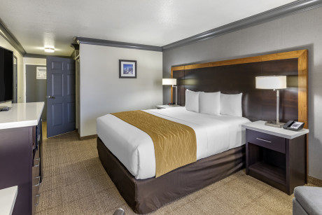 Comfort Inn & Suites North Hollywood - Guestroom 