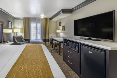 Comfort Inn & Suites North Hollywood - Guestroom 8