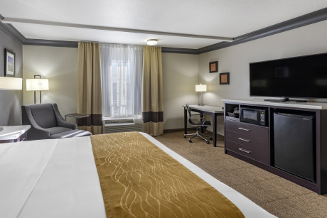 Comfort Inn & Suites North Hollywood - Guestroom