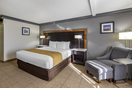 Comfort Inn & Suites North Hollywood - Guestroom
