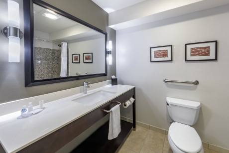 Comfort Inn & Suites North Hollywood - Bathroom 4