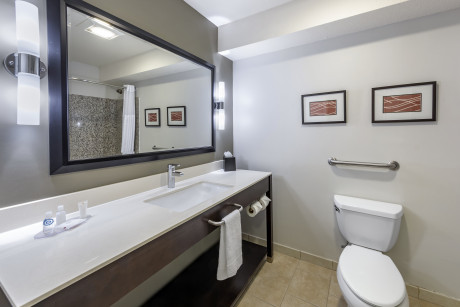 Comfort Inn & Suites North Hollywood - Bathroom 