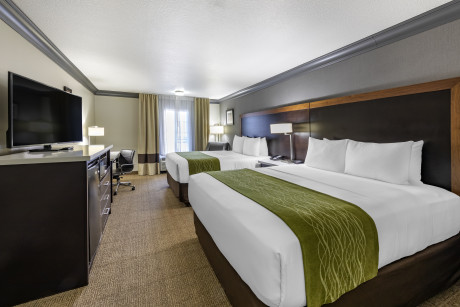Comfort Inn & Suites North Hollywood - Guestroom 18