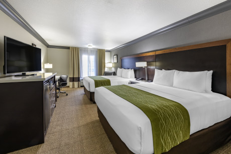 Comfort Inn & Suites North Hollywood - Guestroom 