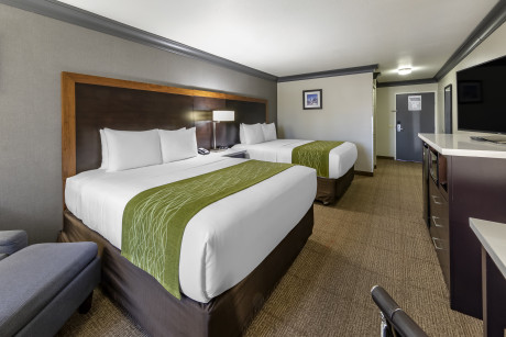 Comfort Inn & Suites North Hollywood - Guestroom 17