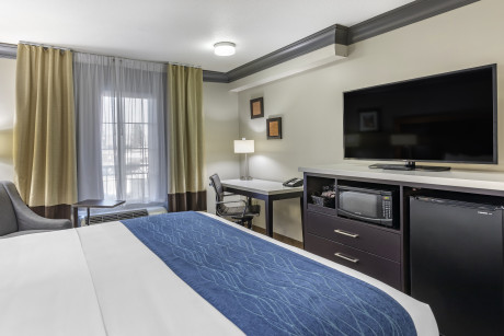 Comfort Inn & Suites North Hollywood - Guestroom 11