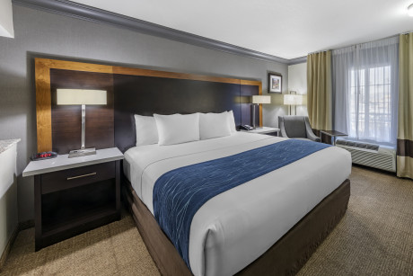 Comfort Inn & Suites North Hollywood - Guestroom 10