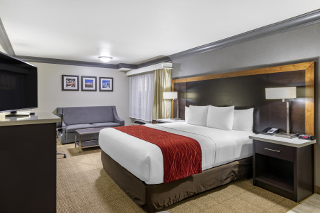 Comfort Inn & Suites North Hollywood - Guestroom