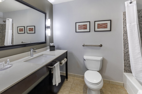 Comfort Inn & Suites North Hollywood - Bathroom 