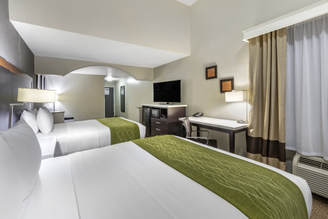 Comfort Inn & Suites North Hollywood - Guestroom 14