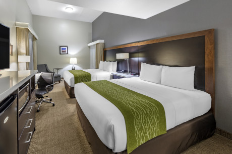 Comfort Inn & Suites North Hollywood - Guestroom 